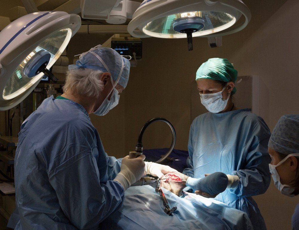 cirugia-general-veterinaria