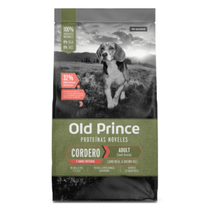 Old Prince Cordero Adulto Razas Pequeñas