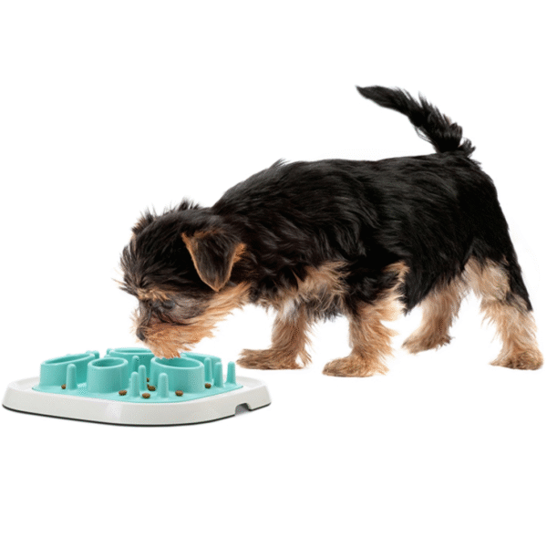 Pet Enigma Slow Feeder Large 11 - Imagen 3
