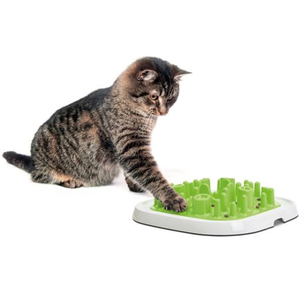 Pet Enigma Slow Feeder Large 20 - Imagen 2
