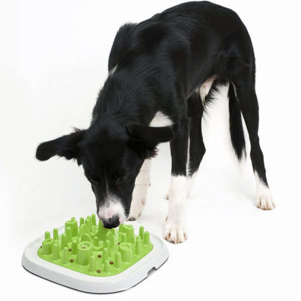 Pet Enigma Slow Feeder Large 20 - Imagen 3