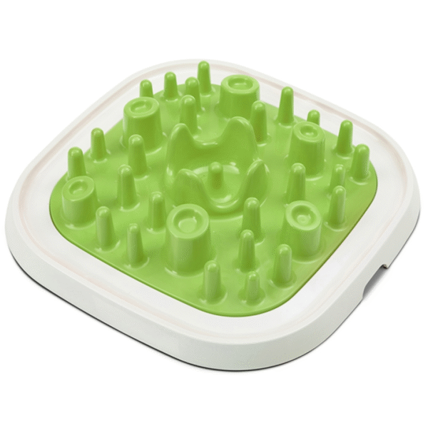 Pet Enigma Slow Feeder Large 20