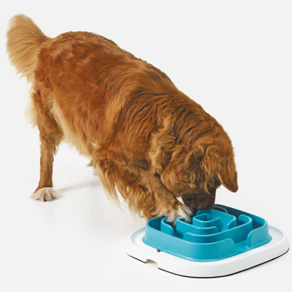 Pet Enigma Slow Feeder Large 21 - Imagen 2